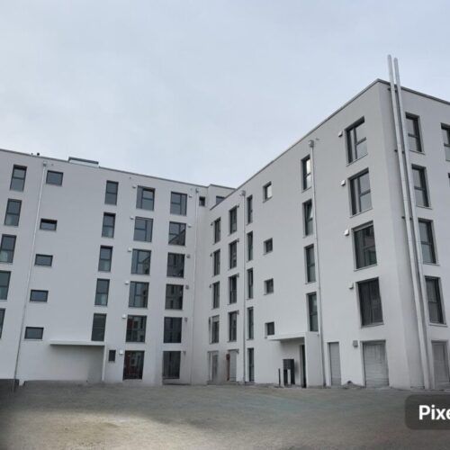 WhatsApp-Image-2025-02-08-at-17.35.44-1-1024x768